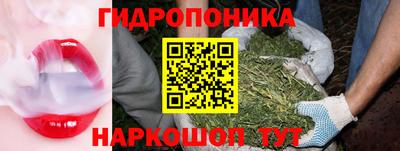 а пвп мука Тара