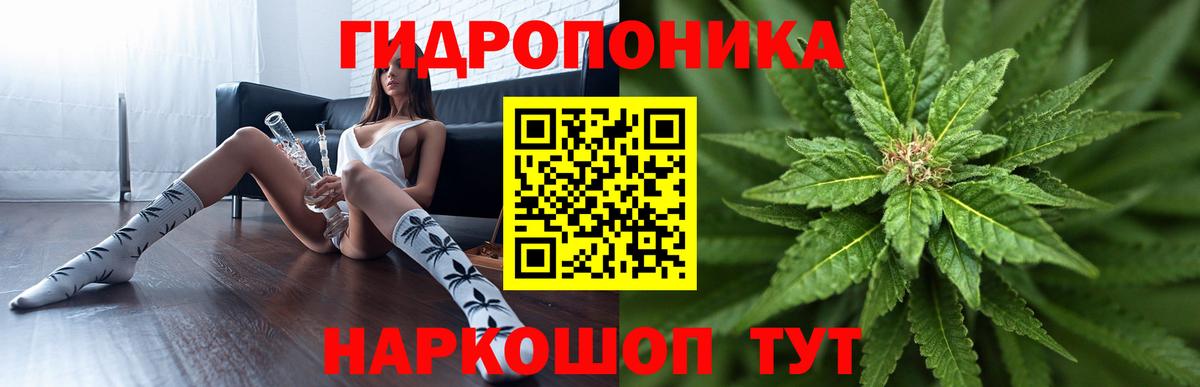 Каннабис конопля Ноябрьск